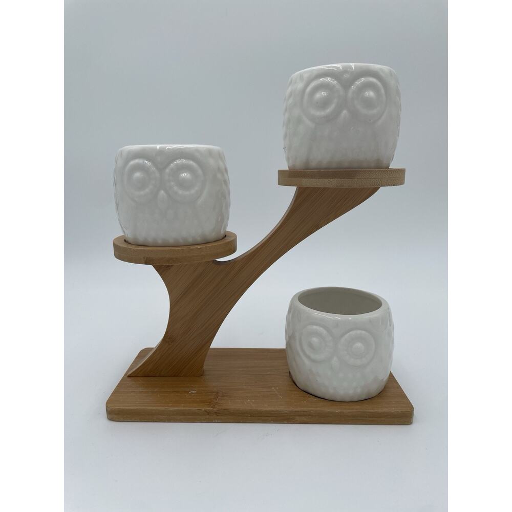 Set Of 3 Owl Succulent Pots & Sculptural Bamboo Stand Votive Candle Owls Display